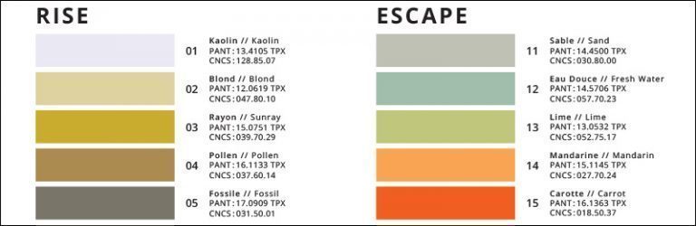 couleur-768x250-1-768x250-1-768x250-1-768x250