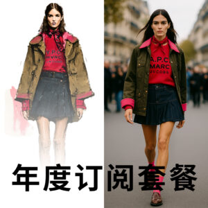 年度购买 - PROMOSTYL