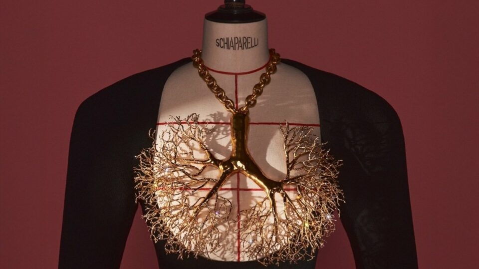 Schiaparelli Fashion Becomes Art