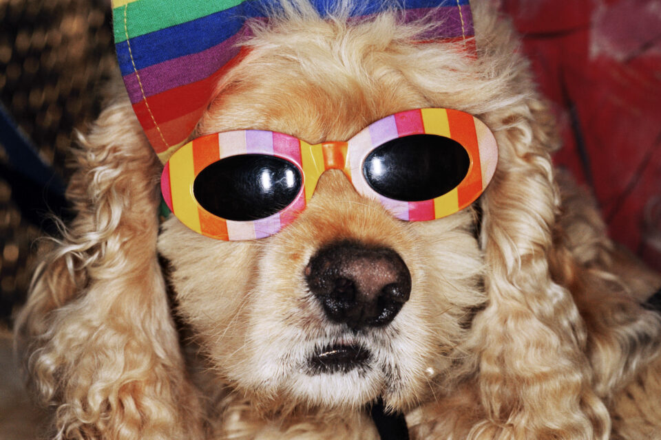 USA. California. Venice Beach. From ‘Common Sense’. 1998.